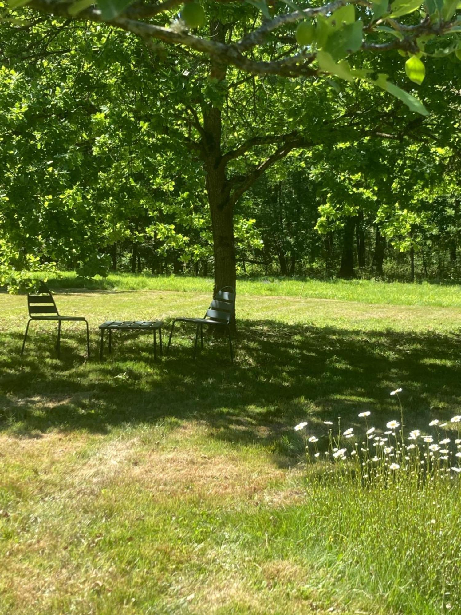 Les Bois De Ravel Chambres D'Hotes Экстерьер фото
